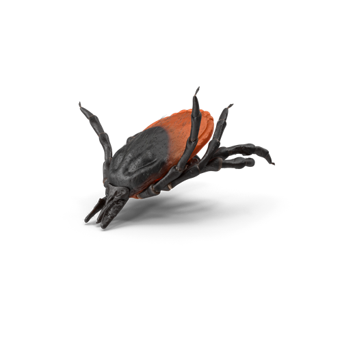 pest