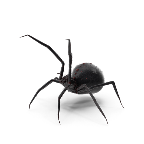 pest